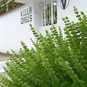 Bed & Breakfast Oasis, Berat