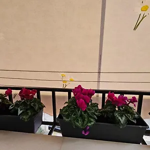 https://city-center-apartment-3.hotels-in-tirana.com